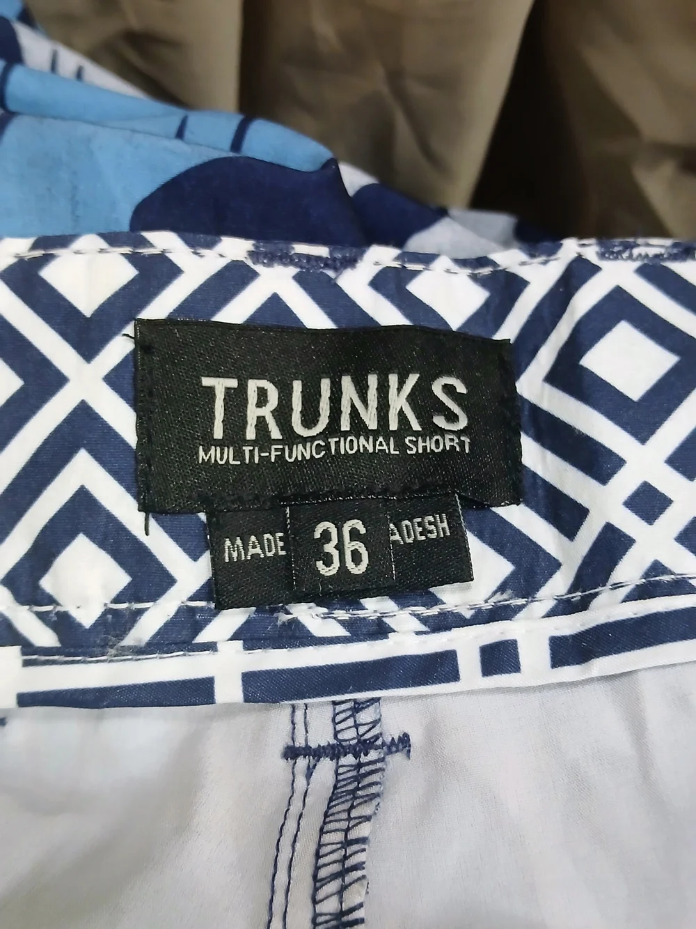 Men's Blue Leaf Print Swim Shorts